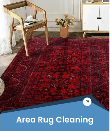 Area Rug Cleaning