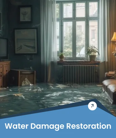 Water and Fire Damage